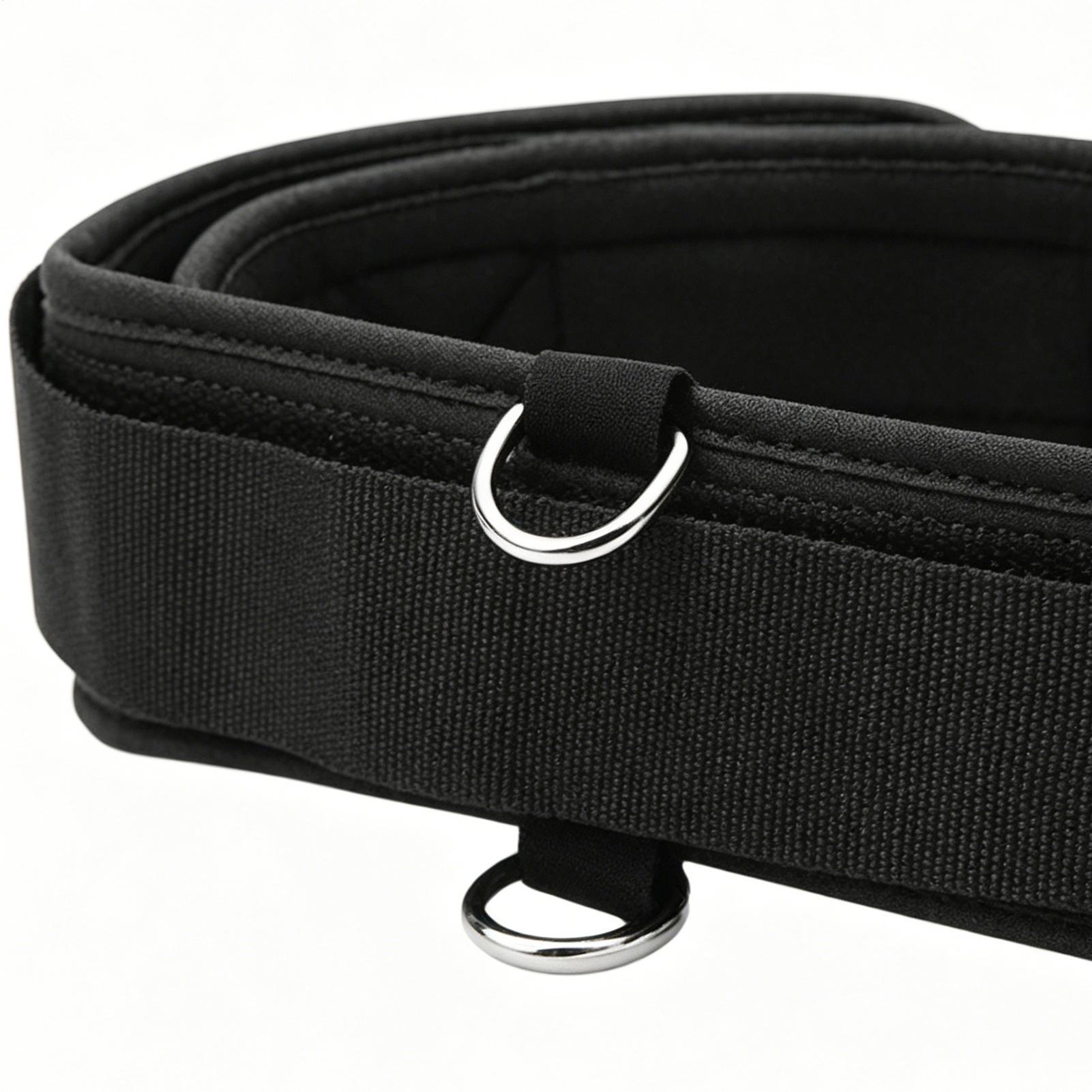 Ayuda para el entrenamiento de - Training Aid Swing reseña y precio