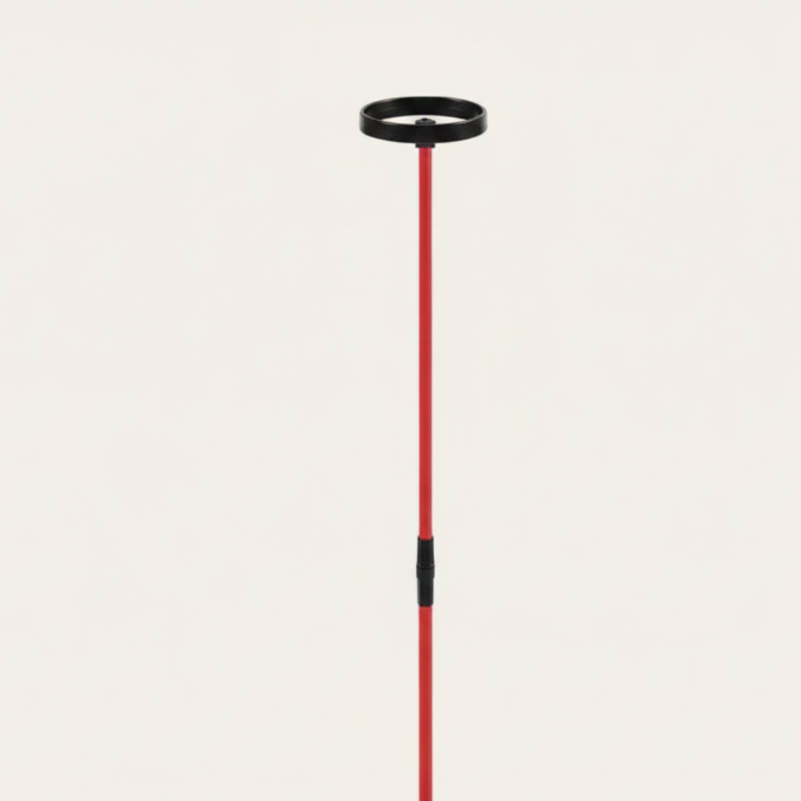 Aparato de entrenamiento de go - Training Aid Swing reseña y precio